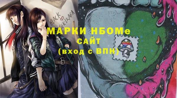 шишки Корсаков