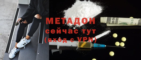 шишки Корсаков