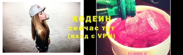 шишки Корсаков
