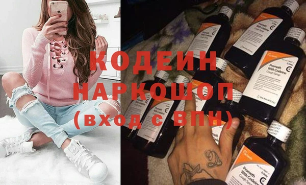 шишки Корсаков