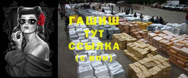 шишки Корсаков