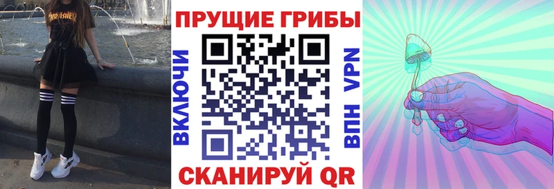 Псилоцибиновые грибы прущие грибы Купить где Северо-Курильск