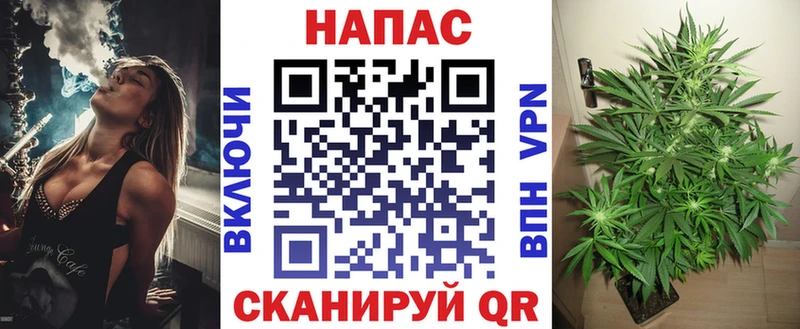 Купить где  Северо-Курильск  Конопля ГИДРОПОН 